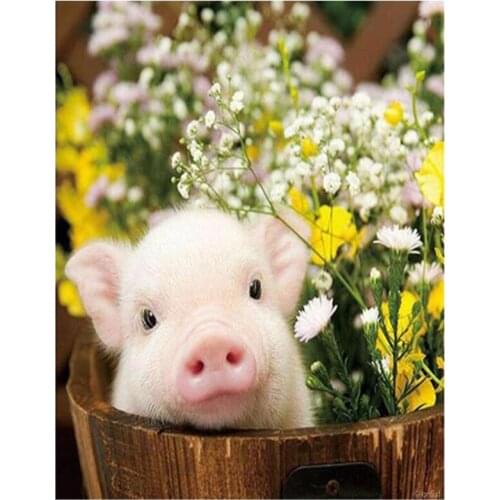 5D DIY Full Drill Animals Drawing Pig Flower Diamond Painting Wall Decoration Cross Stitch Mosaic Support Customization FH862