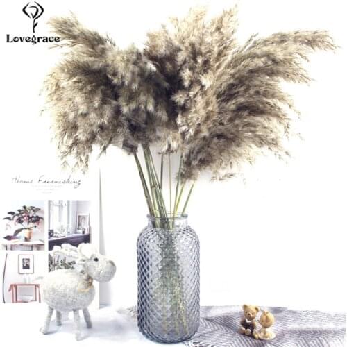 11pcs 55cm Natural Large Reed Dried Flower Pampas Grass Decor Bouquet Wedding Home Ceremony Decoration Bulrush Bunch