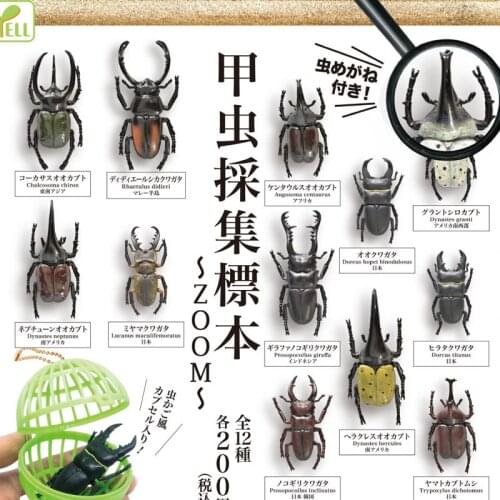 Japan Yell Gashapon Capsule Toys Insect Model Table Ornaments Decoration Simulation Trypoxylus Dichotomus Toy Beetle Collection