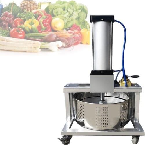 ACE HEART Electric Fruit Juicers