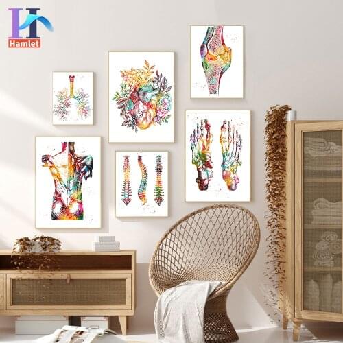 Picture By Numbers Anatomy Skeleton Art Wall Human Heart Brain Lungs Linen Paint By Numbers Nordic Office Decor Handicraft Arts