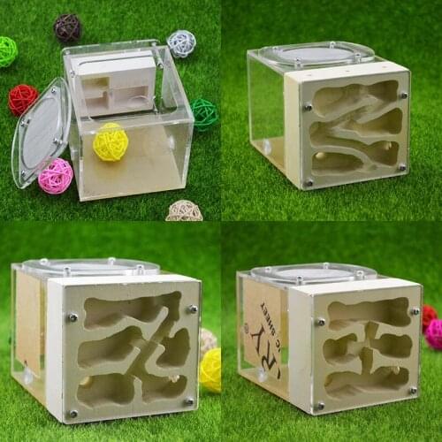 Creative Acrylic Gypsum Hybrid Eco Pet Breeding Nest Ants Farm House Insect Collection Box