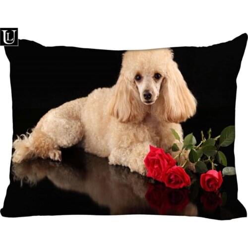 Custom Lovely Poodle Rectangle Pillow Cover Size 45x35cm (one side) Print Custom Zipper Polyester Cotton Pillowcase more size
