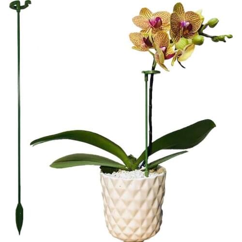 10pcs Plant Stand Phalaenopsis Orchid Flower Special Stand Home Gardening Supplies Flowers Support Bonsai Potted Garden Tools