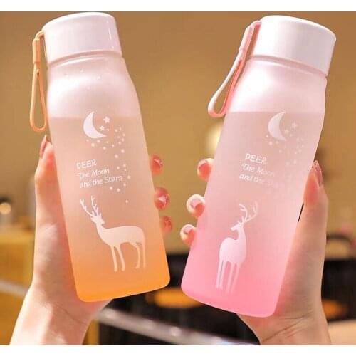 500Ml Small Daisy Creative Transparent Plastic Water Bottles Bpa Free Frosted Water Bottle with Portable Rope Travel Tea Cup