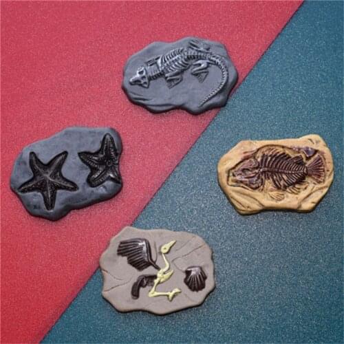 Julie Wang 10PCS Resin Artificial Fossil Charms Random Mixed Dinosaur Fish Archaeopteryx Jewelry Making Accessory Home Decor