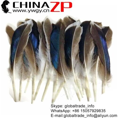 CHINAZP Factory 50pieces/lot Size 10-15cm Premium Handpicked Natural Iridescent BLUE MIX Mallard Duck Feathers Wholesale