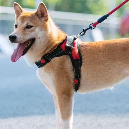 Pet dog cat adjustable seat belt soft breathable mesh dog vest vest training cat pet puppies collar cat pet dog chest harness