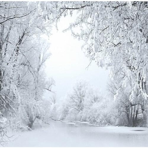 Nature Winter White Snow Tree Photography Backdrops Photo Props Studio Background 5x7ft