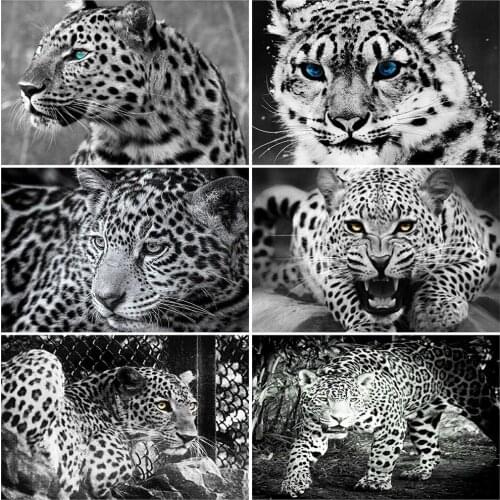 MomoArt Diamond Embroidery Leopard Picture Rhinestones Diamond Painting Animal Full Drill Square Mosaic Cross Stitch Handicraft