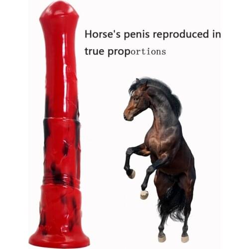 Dildo Realistic Horse Penis Female Toys Huge Penis Suction Cup Colorful Animal Dick Adult Games Erotic Sex Toys For Women