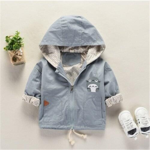 2019 Cartoon Totoro Baby Boys Girls Hoodies Spring and Autumn Cotton Children Coats Clothes Casual Kids Sweatshirt Clothing
