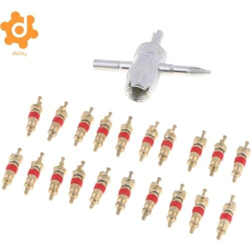 21X Tire Tyre Valve Stem Core With Head Valve Core Remover