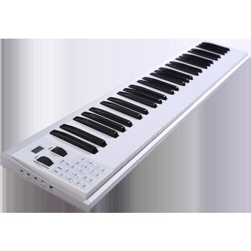Piano 88 keys 61 keys 48 keys professional home electronic organ beginners examination mini portable piano