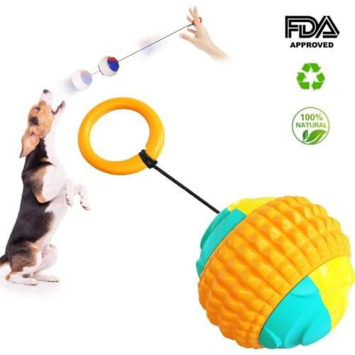 New Wholesale Puppy Chew Toy Dog Toys Chew and Throw Toy Balls for Dog Accessories Toothbrush Dropshipping Center Dog Chew Toys