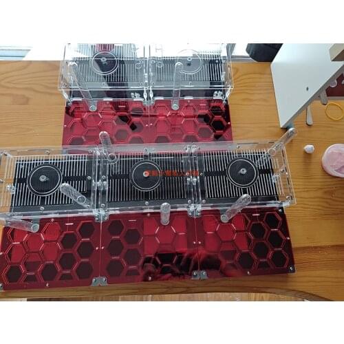 Popular Acrylic Ant Nest Flat Nest Honeycomb Ant Castle Imperial Ant Small Colony Workshop