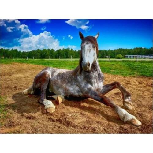 Dpsupr Diamond Painting 5D Full Square/Round Daimond Rhinestone Embroidery Painting Animal Horse Cross Stitch Mosaic Picture