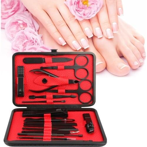 16Pcs Portable Manicure Pedicure Set Nail Clipper Earpick Pedicure Kit Pliers Sanding File Remove Dead Skin Acne Needle