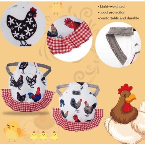 4Pcs Standard Chicken Saddle Chicken Jacket Straps Hen Apron Feather Fixer with Elastic Strap Wing Back Protector Suit