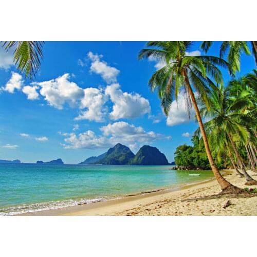 VinylBDS Seaside Wedding Photography Backgrounds Beach Trees Backgrounds Photo Studio Blue Sky Photography Backdrops