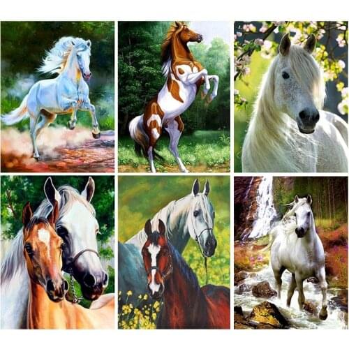 GATYZTORY 60x75cm Frame Horse Diy Oil Painting By Bumbers Kits Animal Abstract Acrylic Paint By numbers For Adults Home Decors