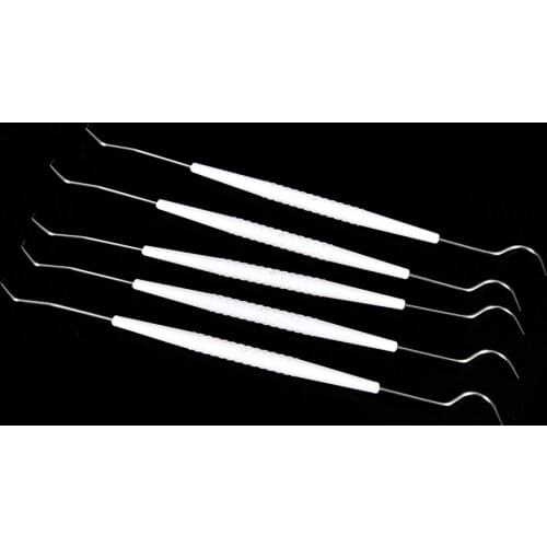 10Pcs/lot Double Ends Dentist Teeth Clean Hygiene Explorer Probe hook Pick Stainless Steel Dental Tool Products Hot