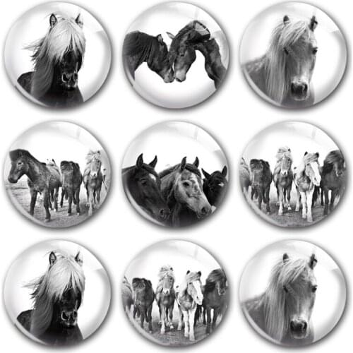 Handmade Farm Aniamls Horse White Black Cowboy Round Photo Glass Cabochons Demo Flat Back DIY Jewelry Making Findings Accessory