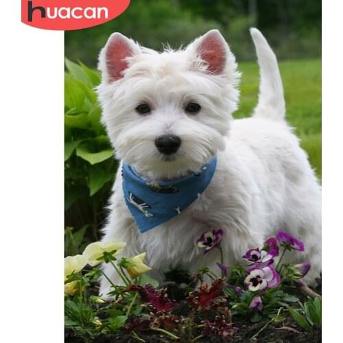 HUACAN DIY Full Square Round Diamond Painting Dog 5D Mosaic Rhinestone Cross Stitch Diamond Embroidery Animal Decoration