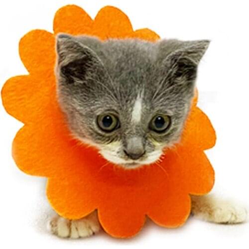 Legendog Cute Flower Neck Cat Cones Adjustable Soft Cat E Collar Surgery Recovery Elizabethan Collars for Kitten Cats Puppy