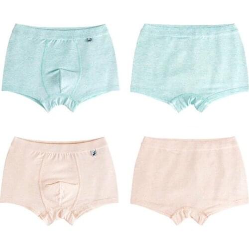 2 Pcs/Lot Organic Cotton Kids Boys Underwear Pure Color Babys Shorts Panties Boys Boxer Childrens Teenager Underwear 3-12 Year