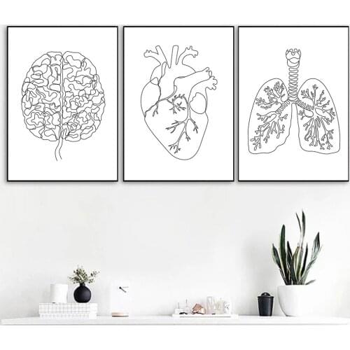 Abstract Organ Heart Lung Brain Wall Art Canvas Print Human Anatomy Painting Black And White Poster Wall Pictures Clinic Decor