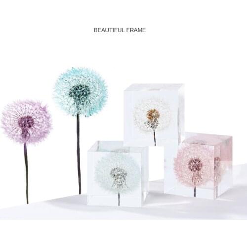 DIY Dried Flower Dandelion UV Glue Gift Eternal Flower Material Decoration Creative Handmade Home Crafts