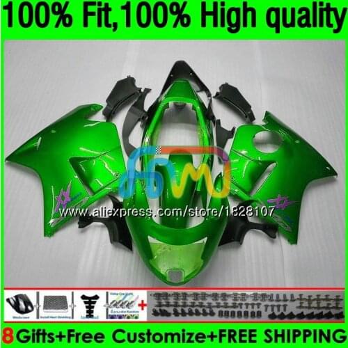 Light green CBR1100 XX For HONDA Blackbird CBR 1100XX 02 03 05 06 07 132BS.133 CBR1100XX 2002 2003 2004 2005 2006 2007 Fairings