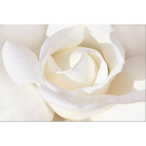 1 Panel Free Shipping Canvas Painting Wall Art Pictures For Living Room Home Decoration White Roses Flower Canvas Art Framed