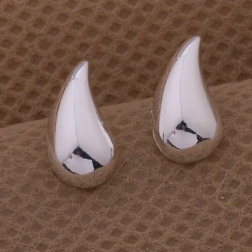 Wholesale Earring 925 silver Fashion jewelry errrings WE-289