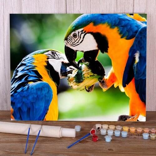 Parrot Bird Animal Coloring By Numbers Painting Kit Acrylic Paints 40*50 Painting On Canvas Handmade Crafts Adults Drawing