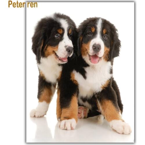 Diy Diamond painting cross stitch Animal 5d Square\Round Diamond mosaic Rhinestones Full Diamond embroidery Bernese Mountain Dog