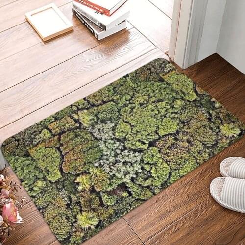 Moss Doormat Carpet Mat Rug Polyester Anti-slip Floor Decor Bath Bathroom Kitchen Bedroom 40x60