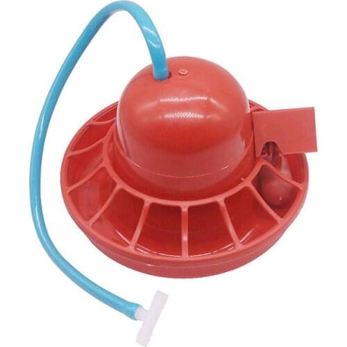 1 Pcs Chicken waterer Poultry chick drinking water equipment Farm Brooding water breeding equipment wholesale