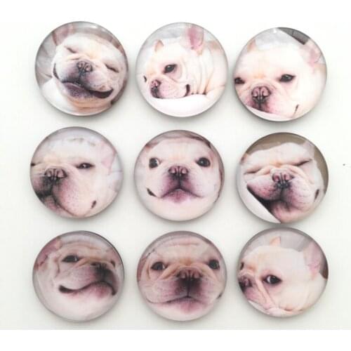 Free shipping (9pcs/lot)Kawaii Sharpei Dog Fridge Magnet Animal Magnetic Sticker for Whiteboard Home Decor kids gift Party decor
