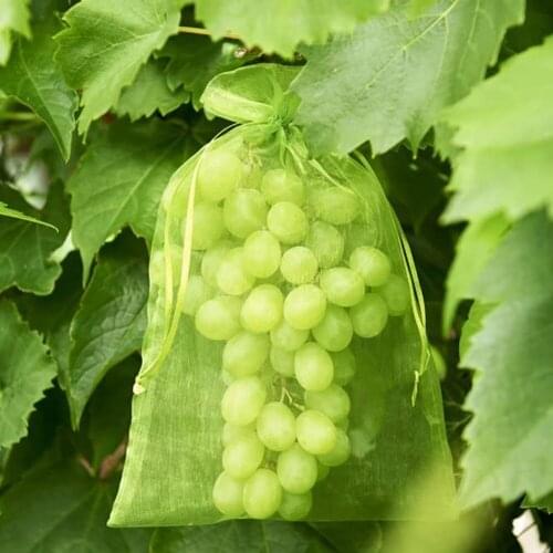100Pcs/set Garden Netting Bags Vegetable Grapes Apples Fruit Protection Bag Agricultural Pest Control Anti-Bird Mesh Grape Bags