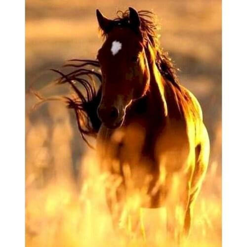 Gatyztory Frame Horse DIY Painting By Numbers Canvas Drawing Animal Handpainted Kits Acrylic Paints Artwork Unique Gift Wall Dec