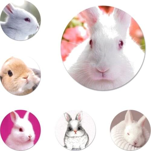 Cute animal bunny Icons Pins Badge Decoration Brooches Metal Badges For Clothes Backpack Decoration 58mm