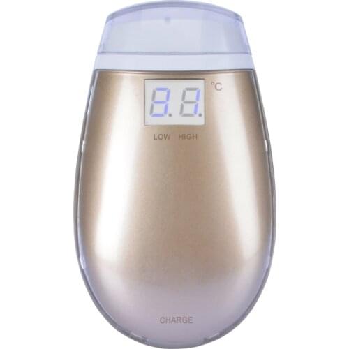 Dot Matrix Radio Frequency Face Machine Facial Rejuvenation Electroporation Fractional RF Device Anti Aging Wrinkle Skin Lift