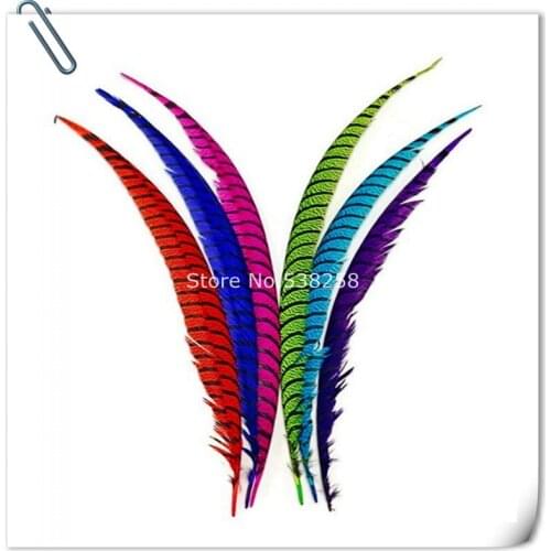 80-100cm Natural ZEBRA Lady Amherst Pheasant Tail Feathers for DIY Crafts