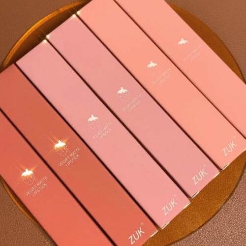 6 Colors Velvet Matte Liquid Lipstick Waterproof Long Lasting Lip Gloss Lipstick Women Sexy Lip Tint Lipstick Pen Cosmetic TSLM2