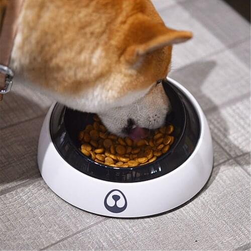 15° Inclined Pet Bowl Removable Double Bowls Cats Slow Food Feeder Protect Cervical Spine Water Dispenser for Dogs Pet Supplies