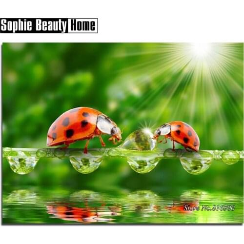 Needlework 5D Diy Diamond Painting Ladybug and Waterdrop Cross Stitch Diamond Embroidery Full Drill Diamond Mosaic Picture062603