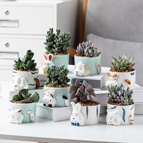 Succulent Pot Cartoon Hand Painted Portable Lovely Animal Ceramic Bonsai Corrosion-resistant 3D Cute Planter Ceramic Flower Pots