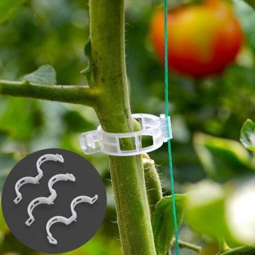 50PCS Plastic Plant Support Clips 50/100Pcs Vine Tomato Clips Fixing Plant Stem Greenhouse Accessories Vegetable Garden Cli U9Q9